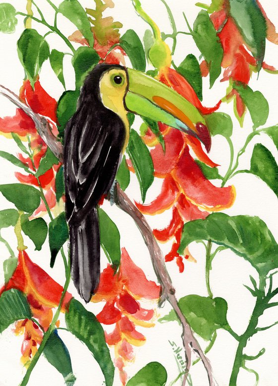 Toucan in the Jungle