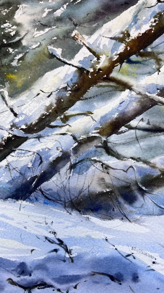 Winter’s Quiet Breath