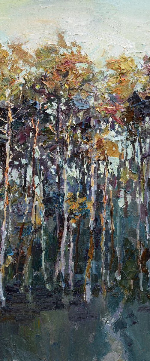 Autumn pine forest by Anastasiia Valiulina