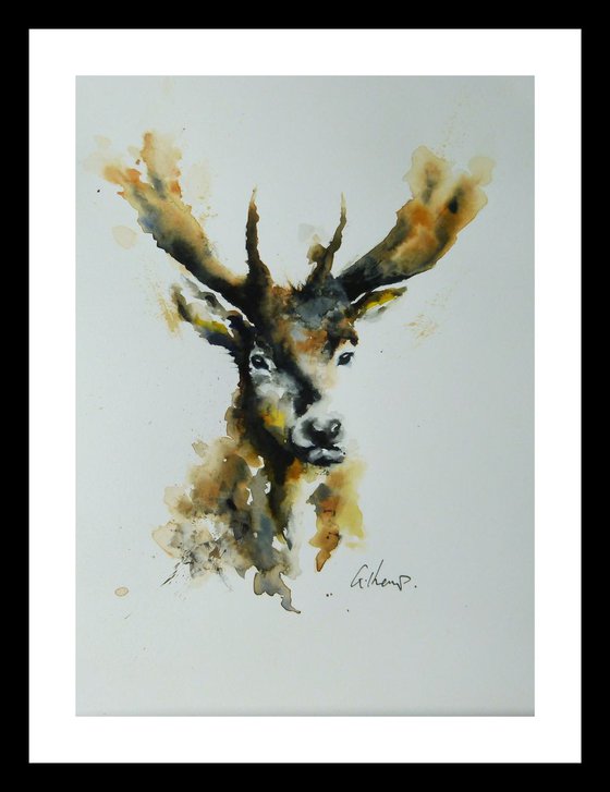 Stag Head #3