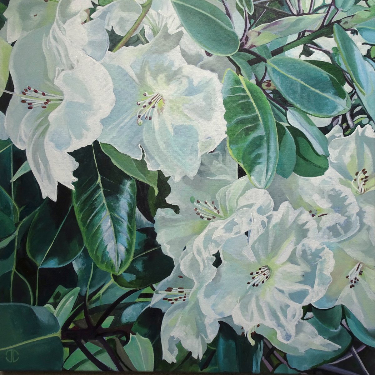 Impressionistic Botanical Acrylic Painting By Joseph Lynch, 24 X 24, Rhododendrons In The Sunlight, Original Artwork