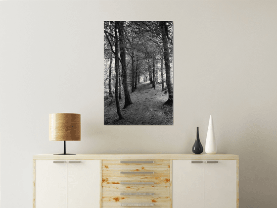 Northern Woods 10 - Unmounted (30x20in)