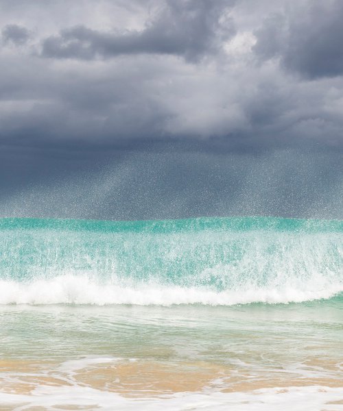 THE GREEN WAVE by Andrew Lever