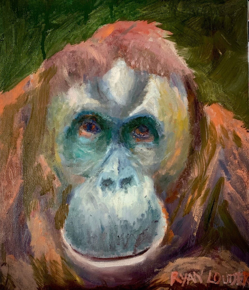 Orangutan painting - Wildlife Wall Art - Animal Oil Painting by Ryan Louder