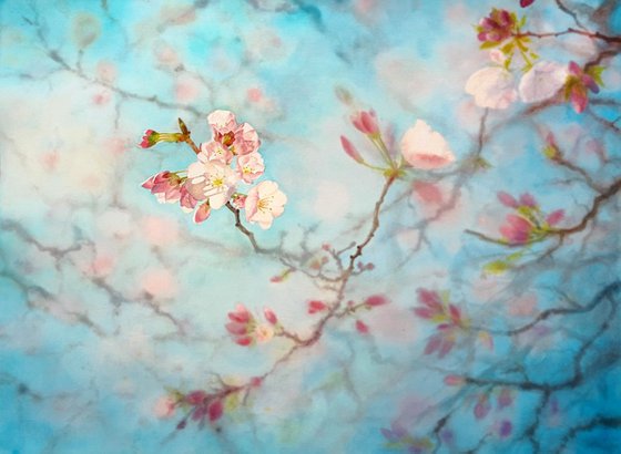 Cherry Blossoms -  Sakura - Cherry tree branch - Mother's day gift