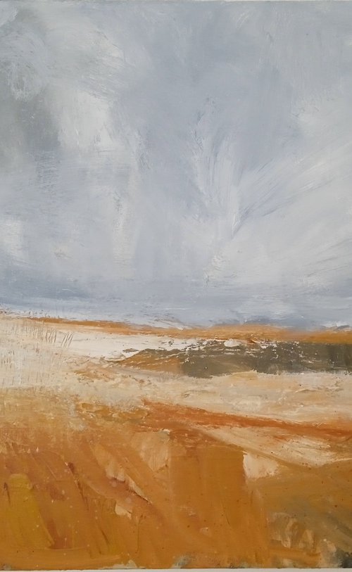 Faster Than a Man Can Run... by Fiona Philipps
