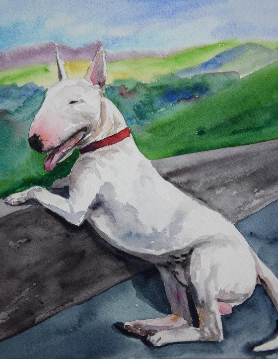 Bull Terrier watercolor painting, dog portrait, animalistic wall art