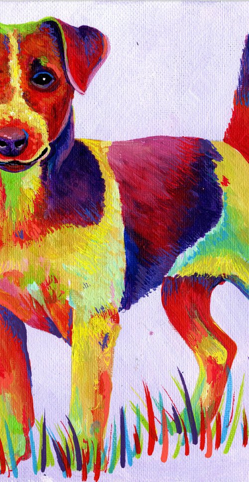 Rainbow Jack Russell by Tiffany Budd