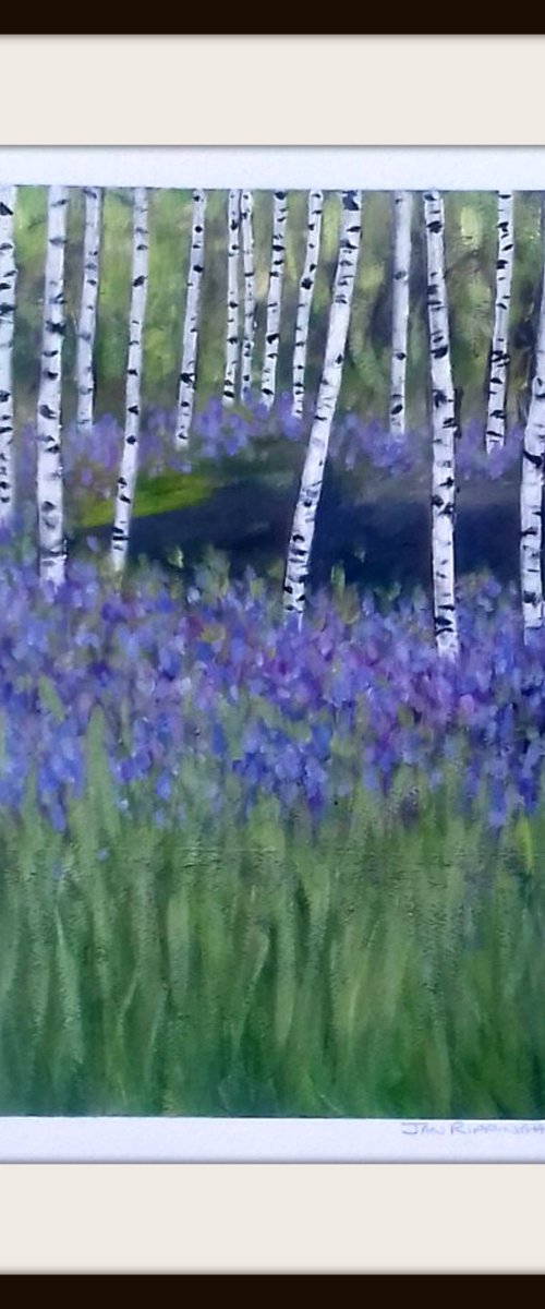 Silver Birch Trees III by Jan Rippingham