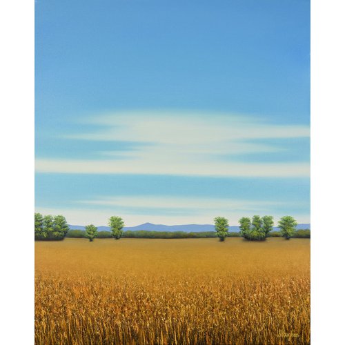 Sun Ripe Wheat - Blue Sky Landscape by Suzanne Vaughan