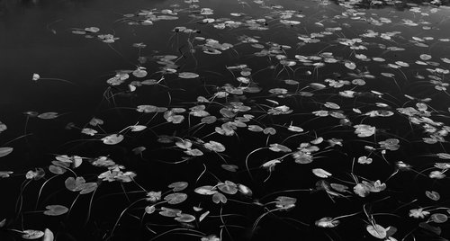 Artwork by Mohamed Hassan