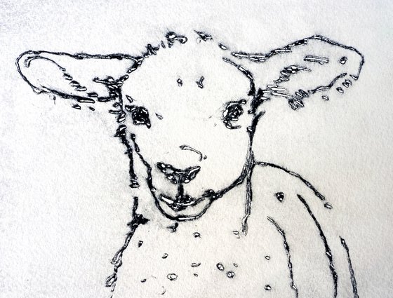 Lamb