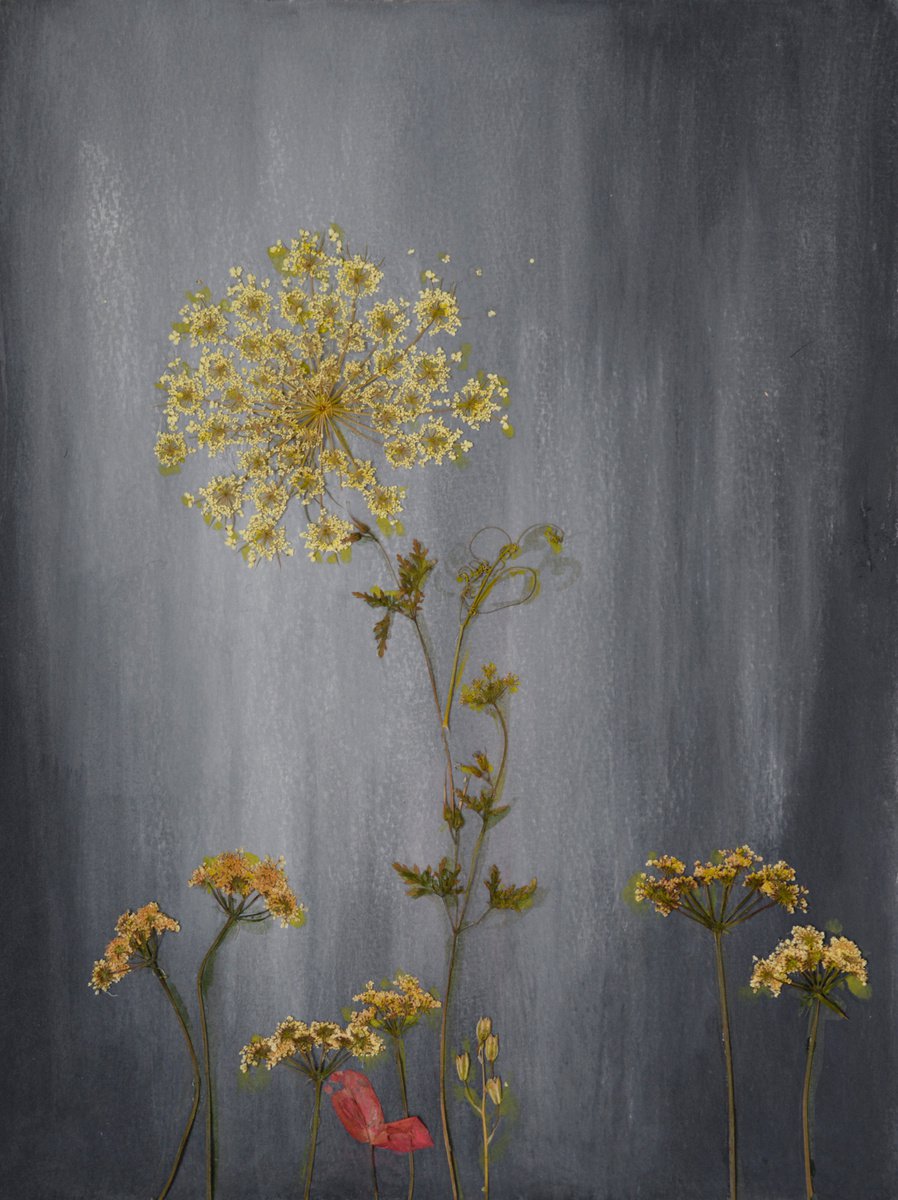 I must have flowers. Always and always 5 by Oldal