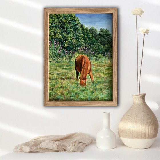 Horse in the field.
