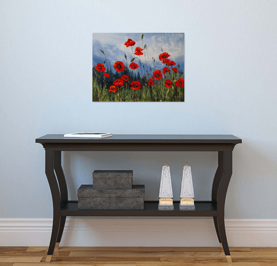 Red flowers , poppies