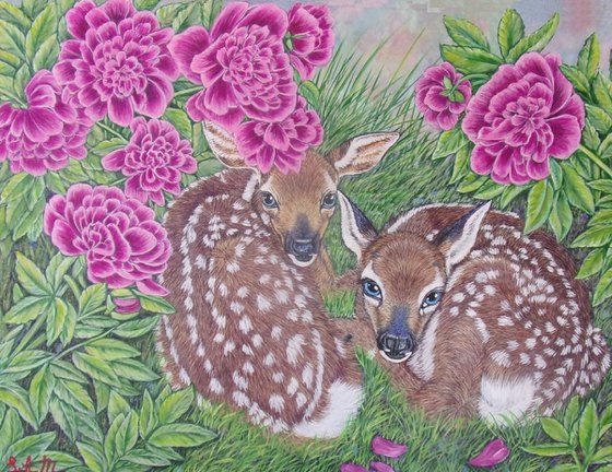 White-tailed deer fawns among Peonies