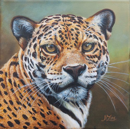 Jaguar by Norma Beatriz Zaro