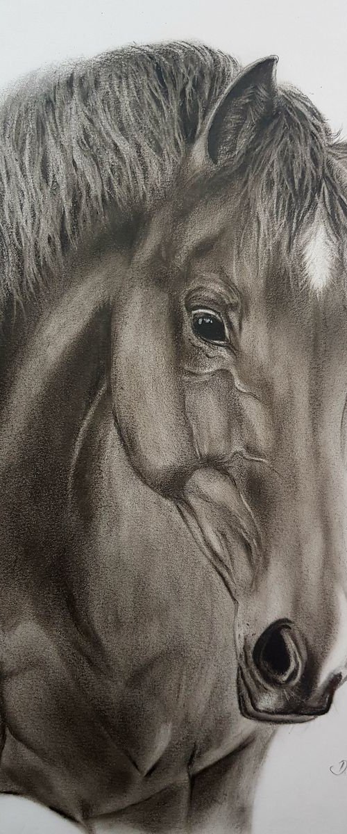 Oil painting ,, Horse Trigger,, by Deimante Bruzguliene