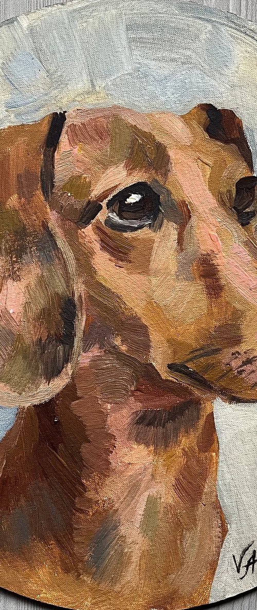 Red dachshund by Alona Vakhmistrova