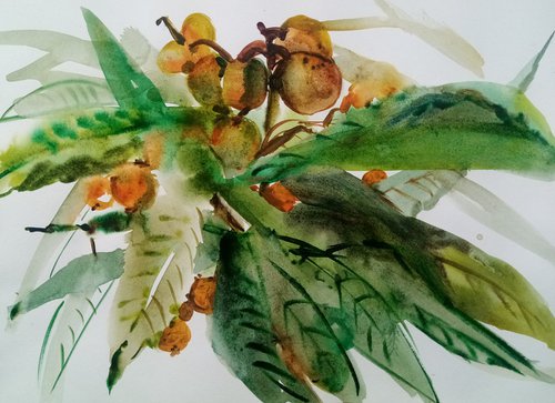 Southern branches, fruits and leaves by Oxana Raduga