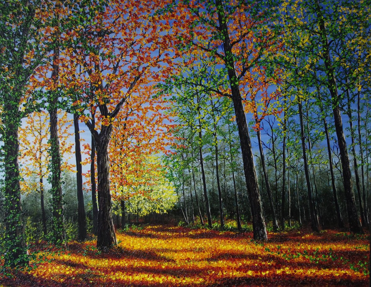 Autumn Forest Glow By Hazel Thomson, 36 X 28, Artwork For Sale On Artfinder
