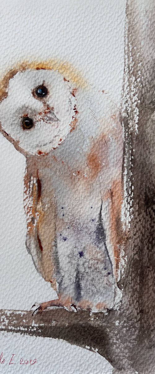 Owl on a tree by Eugenia Gorbacheva