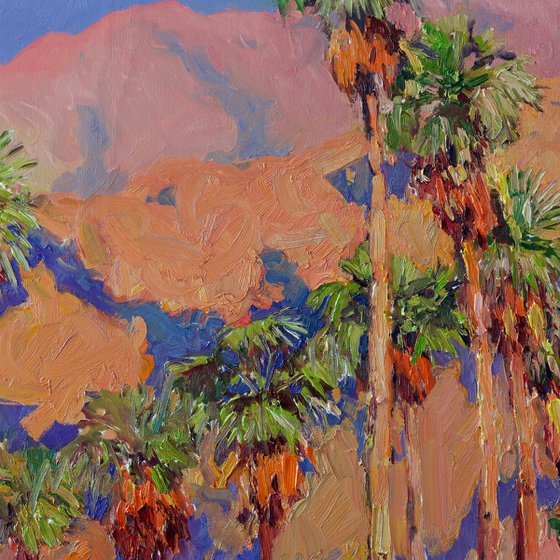 Palm Trees from Desert