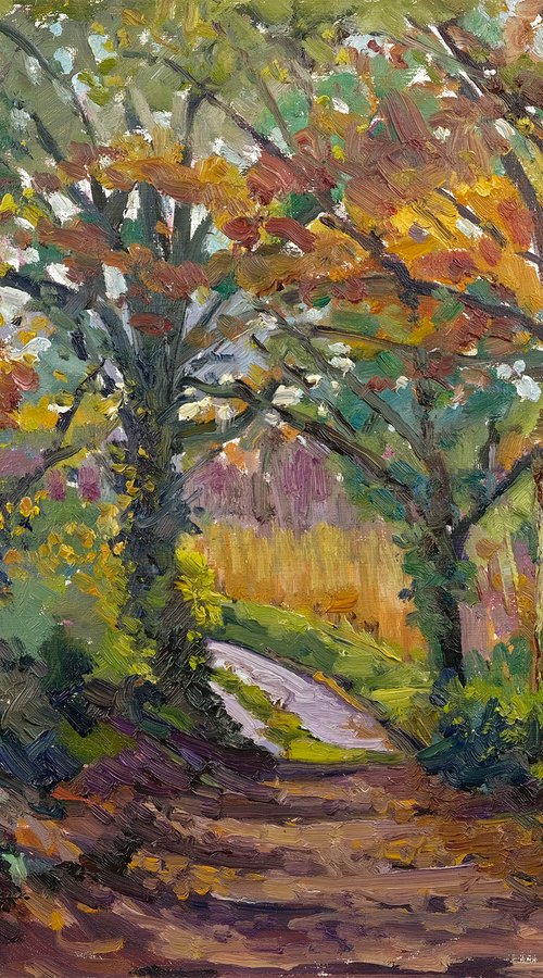 Autumn Canopy by Jeff Parker