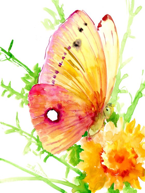 Butterfly, yellow-pink shades