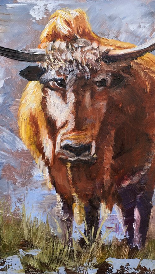 Bull by Elena Sokolova