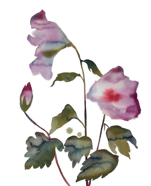 Hibiscus No. 5 by Elizabeth Becker