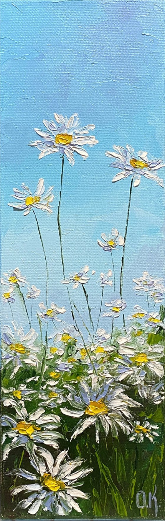 Daisies field