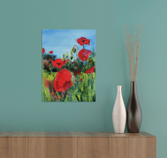 Poppies in a meadow in Bavaria