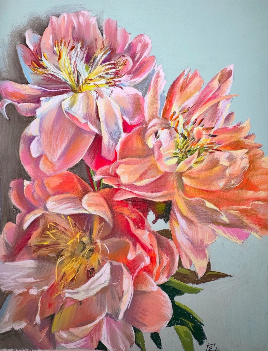 Photorealistic Pastel Drawing , Tender Peonies By Olena Hromova, 20 X 26, Artwork For Sale On Artfinder