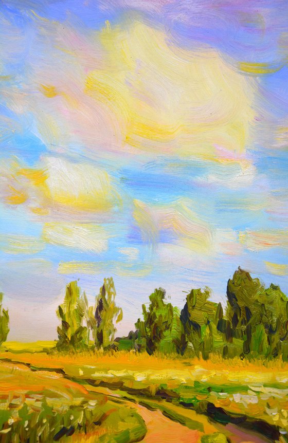 Summer. Field. Road.