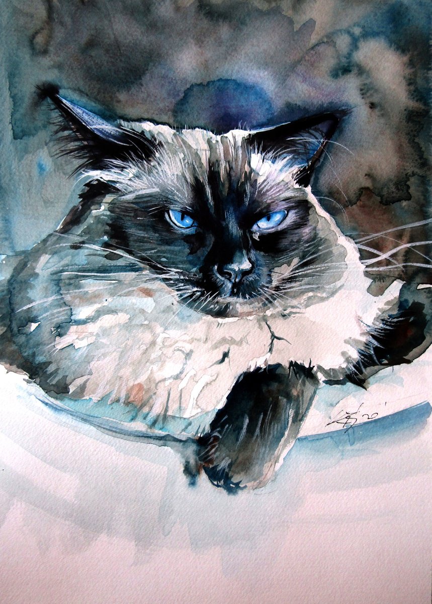 Impressionistic Animal Watercolour By Kovacs Anna Brigitta, 10 X 14", Angry Himalayan Cat, Original Artwork