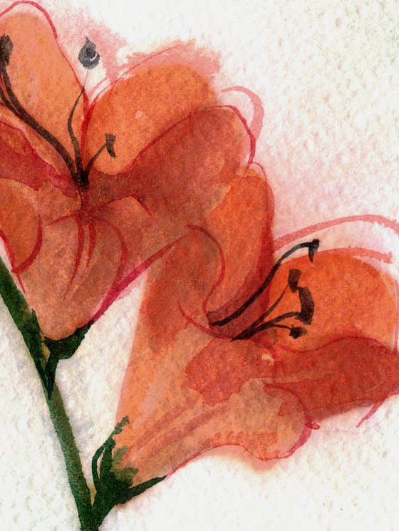 Flowers I - Orange Freesia