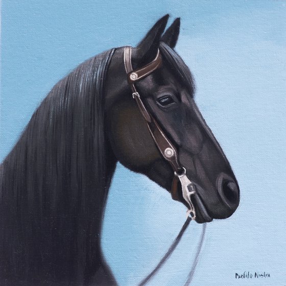 Horse Portrait 46