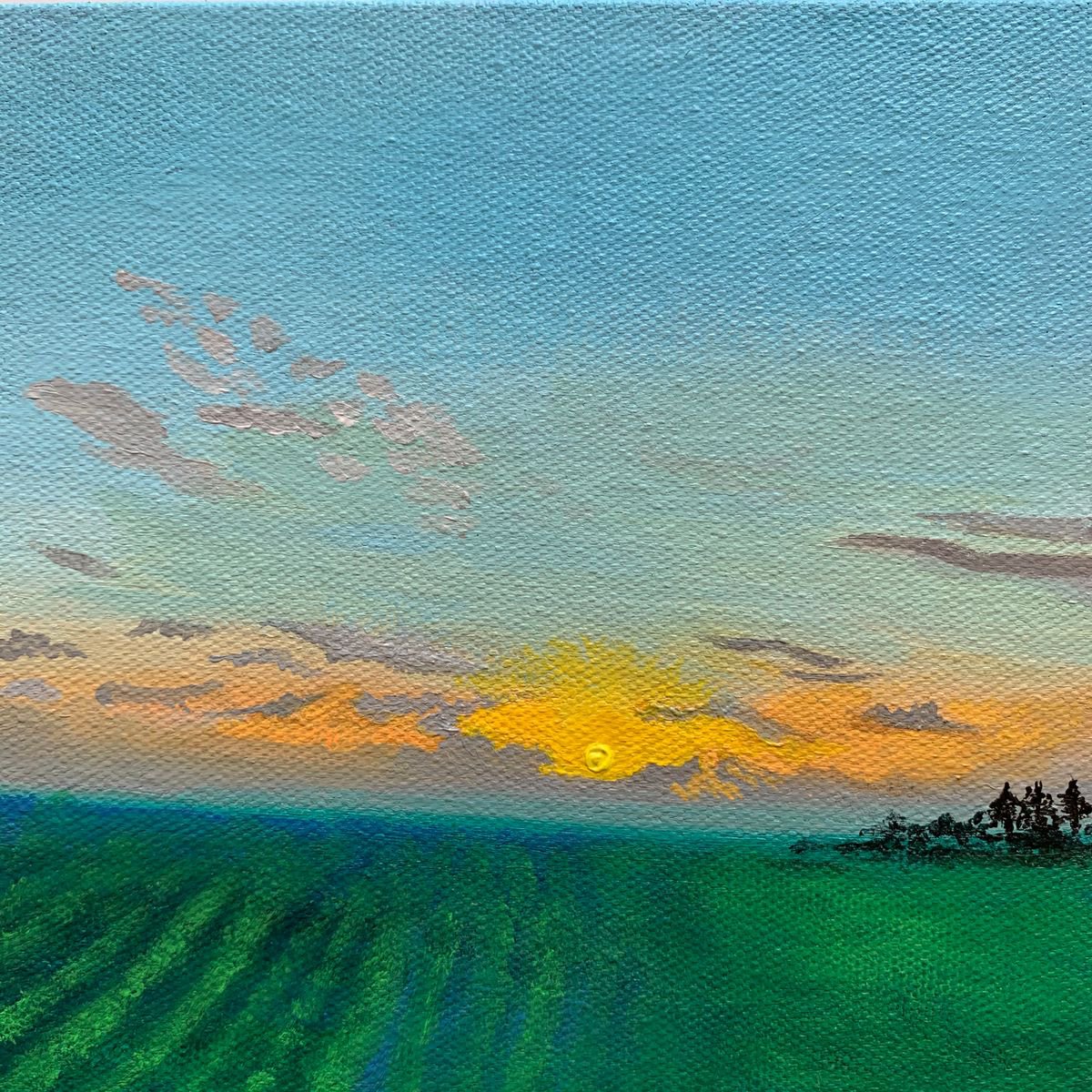Field Sunset! Miniature landscape painting by Amita Dand