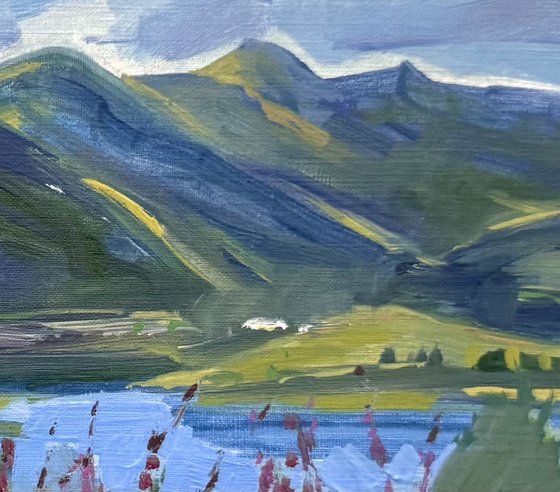 Loch Lomond, willowherb