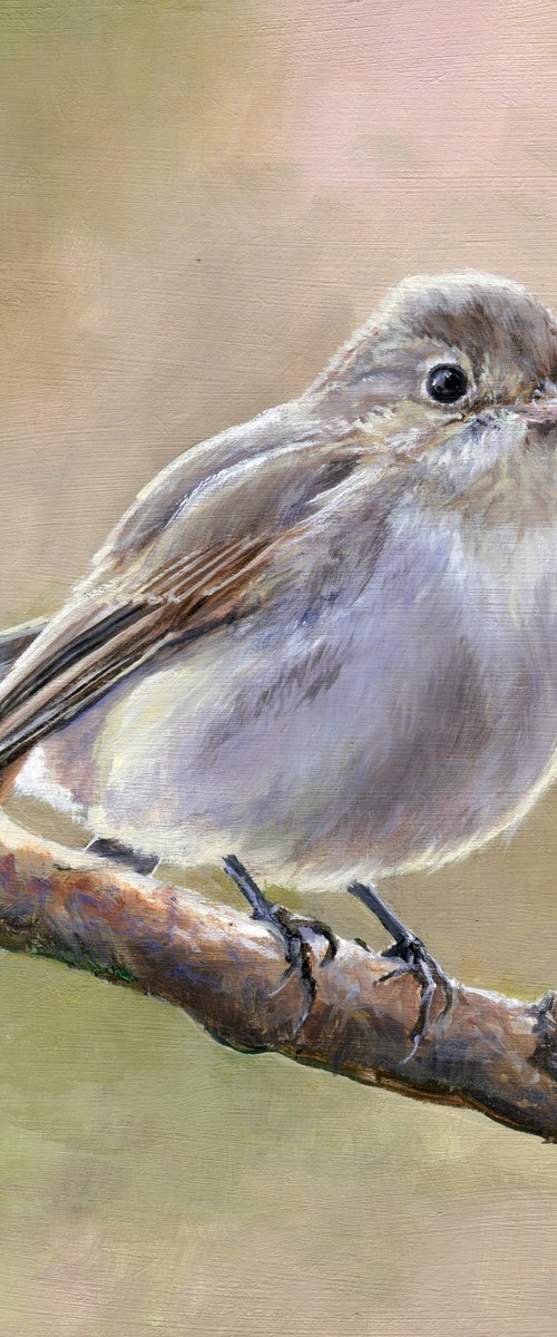 'A branch to rest' by Lucia Verdejo