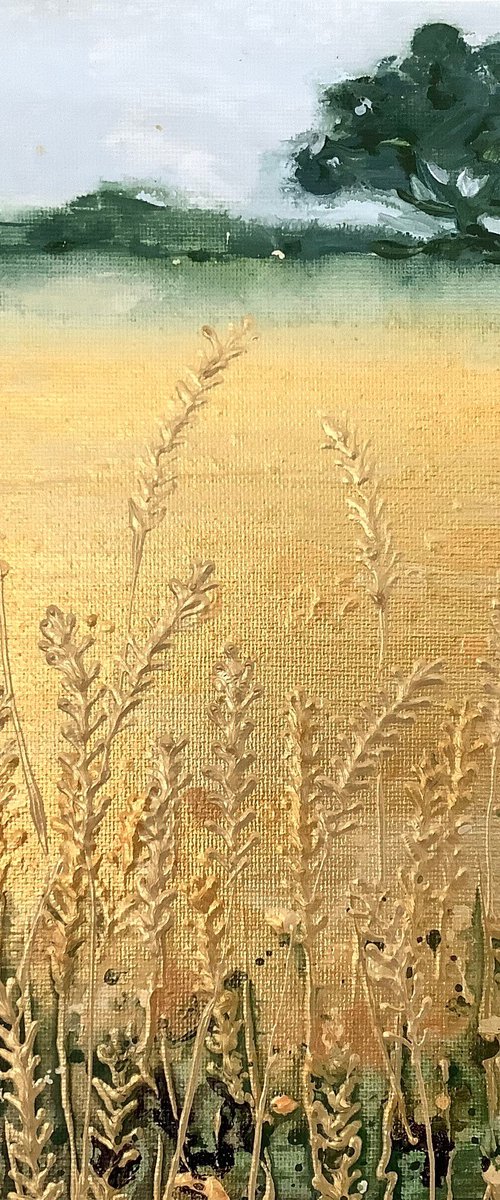 Little Wheat Field (1) by Elizabeth Westcott