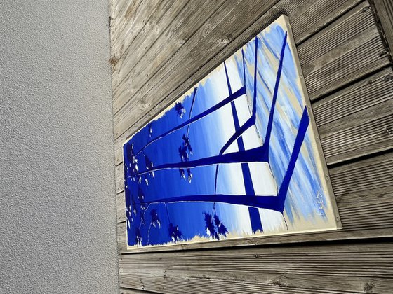 Cap Coz ultramarine 100x50