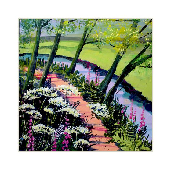 Cow Parsley by the Stream