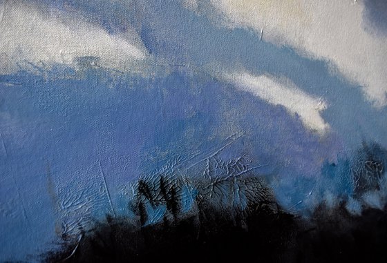 Winter landscape 1