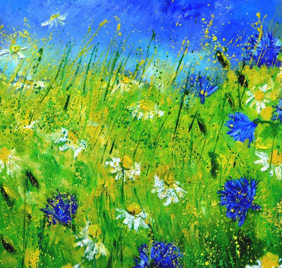 Cornflowers and daisies
