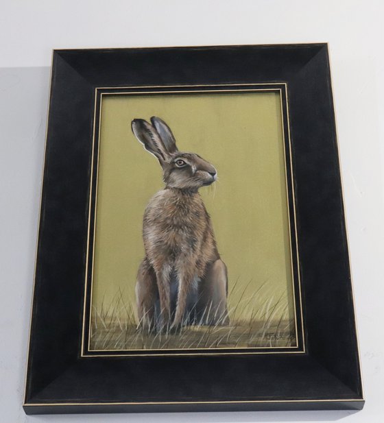 Golden Hare - Portrait II
