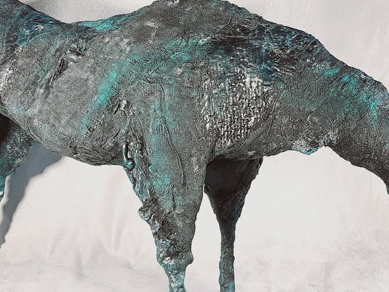 Equus