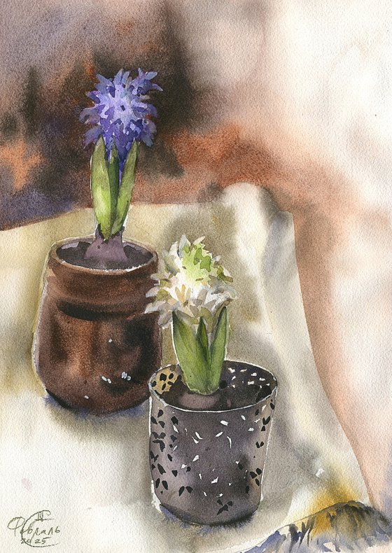 Two hyacinths