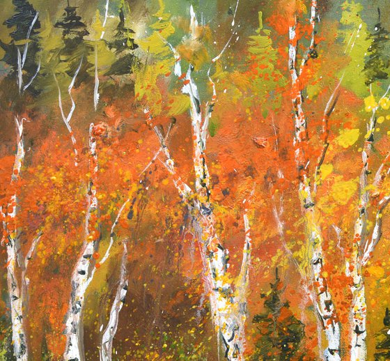 Aspen trees in autumn   76